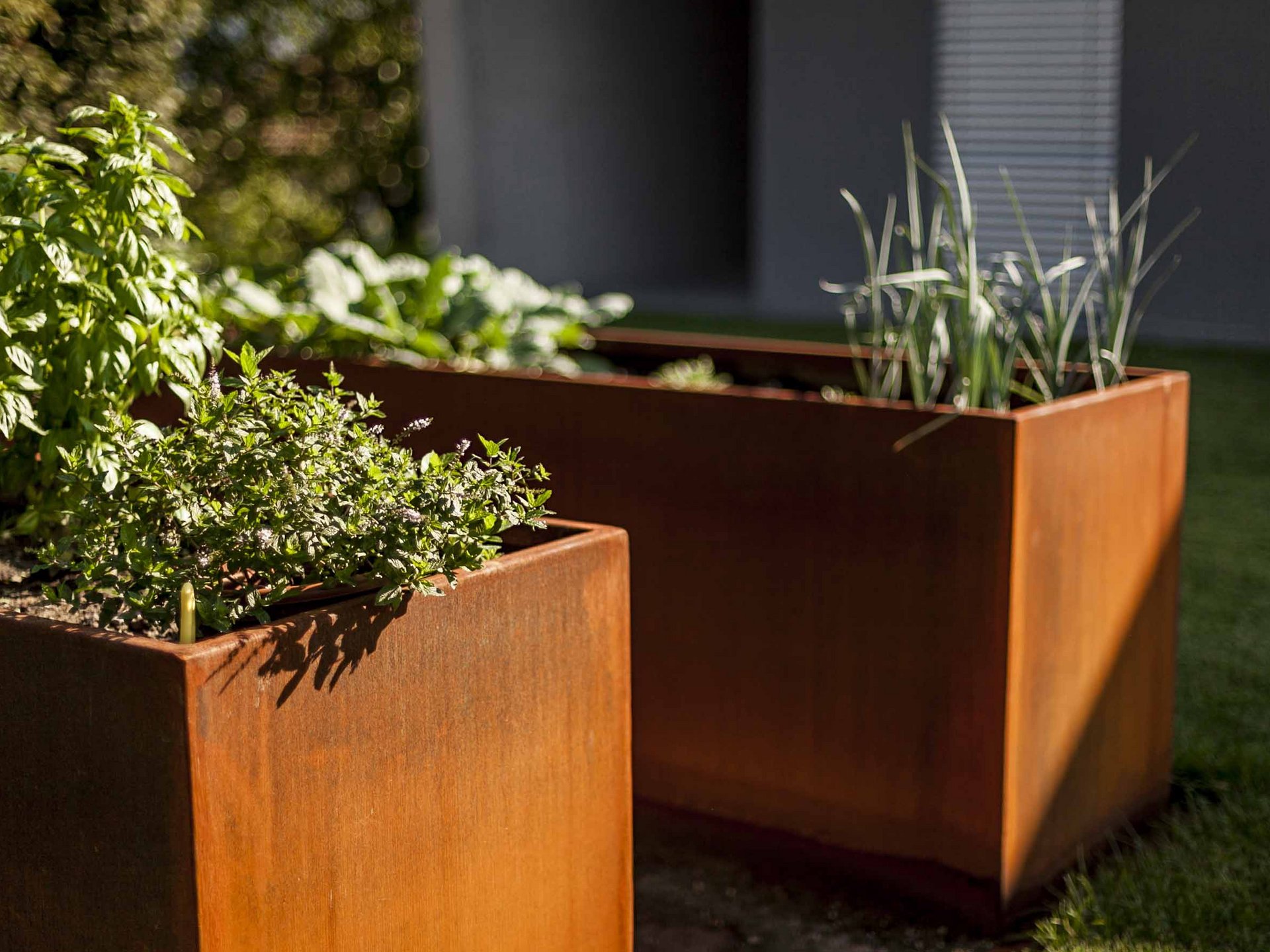 Gartentrends zum Mitverfolgen Gartentrends zum Mitverfolgen