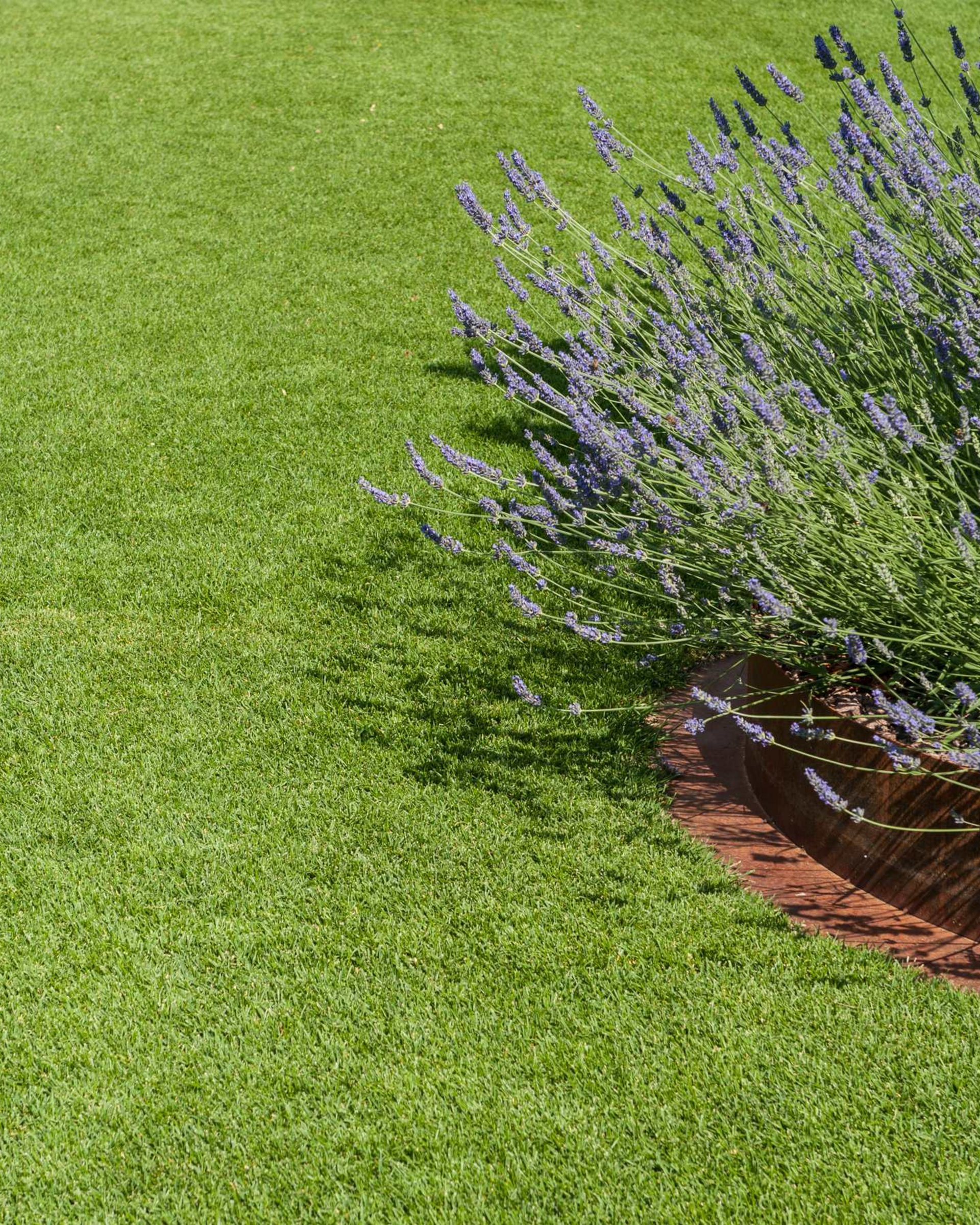 Hotel gardening - progettazione giardini hotel Hotel gardening - progettazione giardini hotel