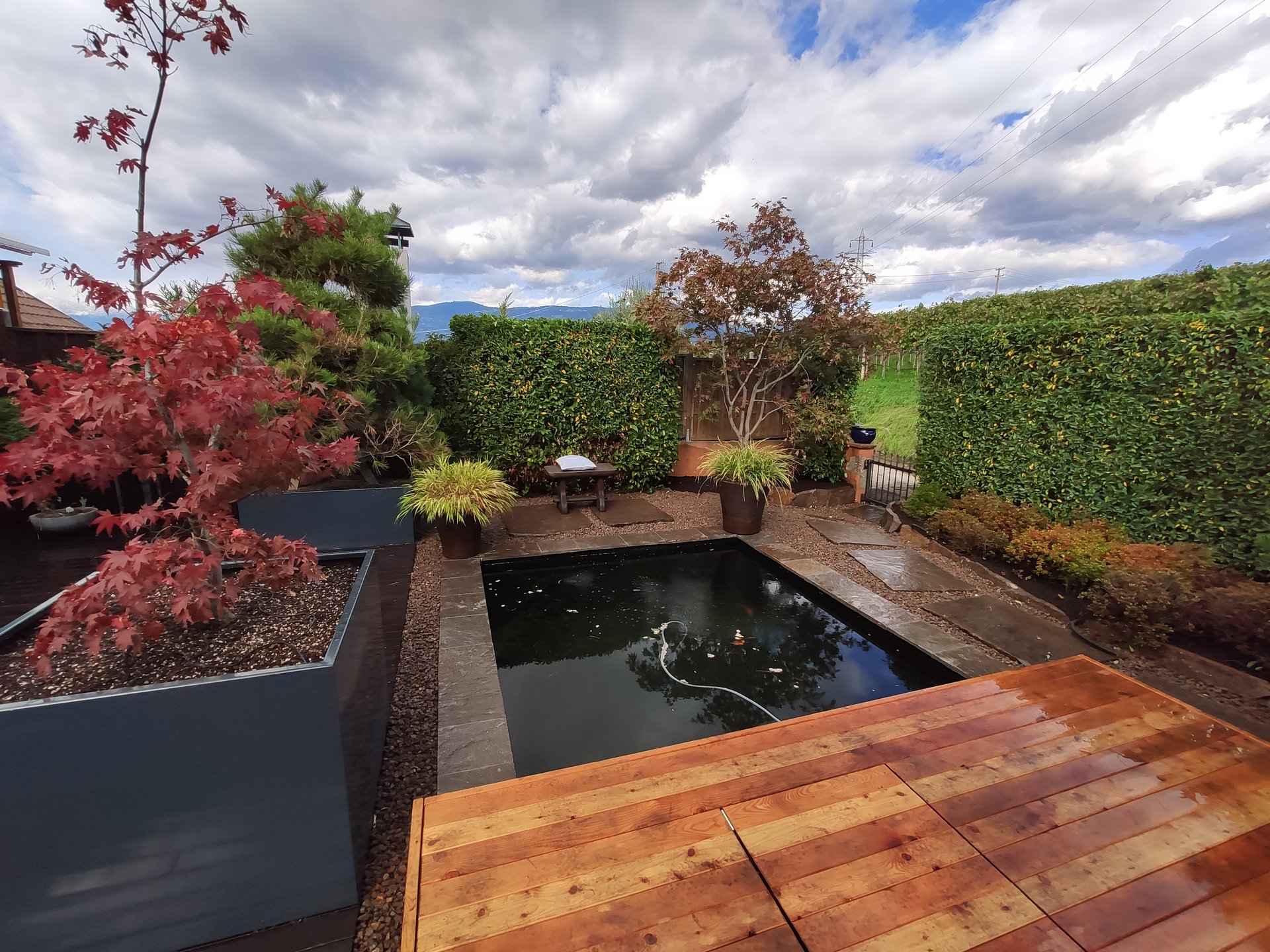 Gartenbrunnen & Gartenteiche vom Profi