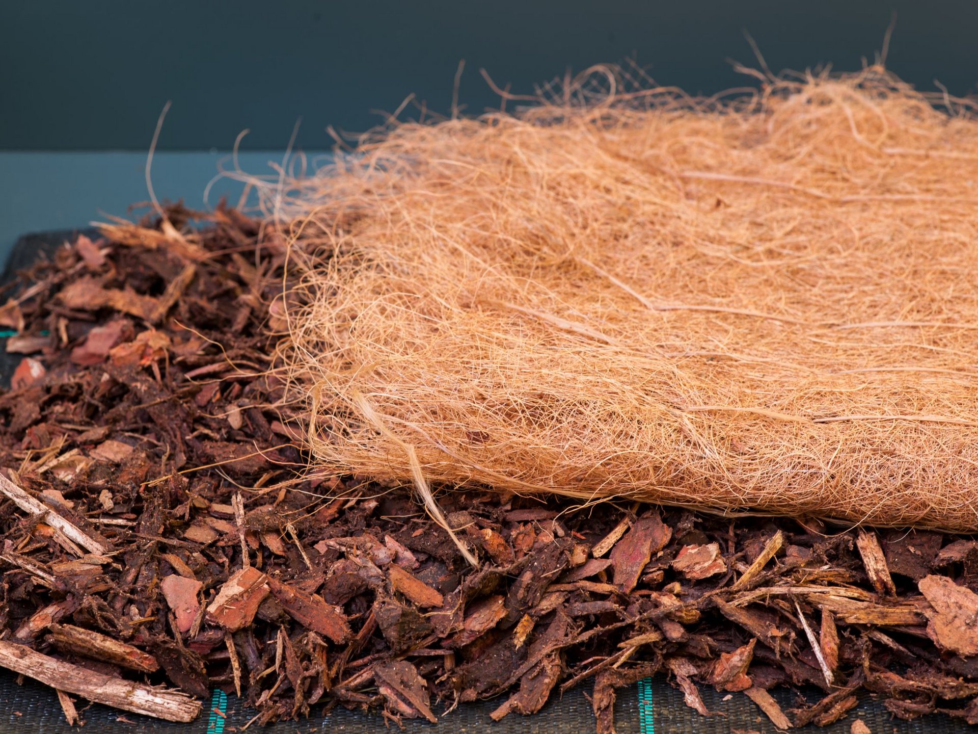 Vieni a vedere il nostro showroom. Vieni a vedere il nostro showroom.