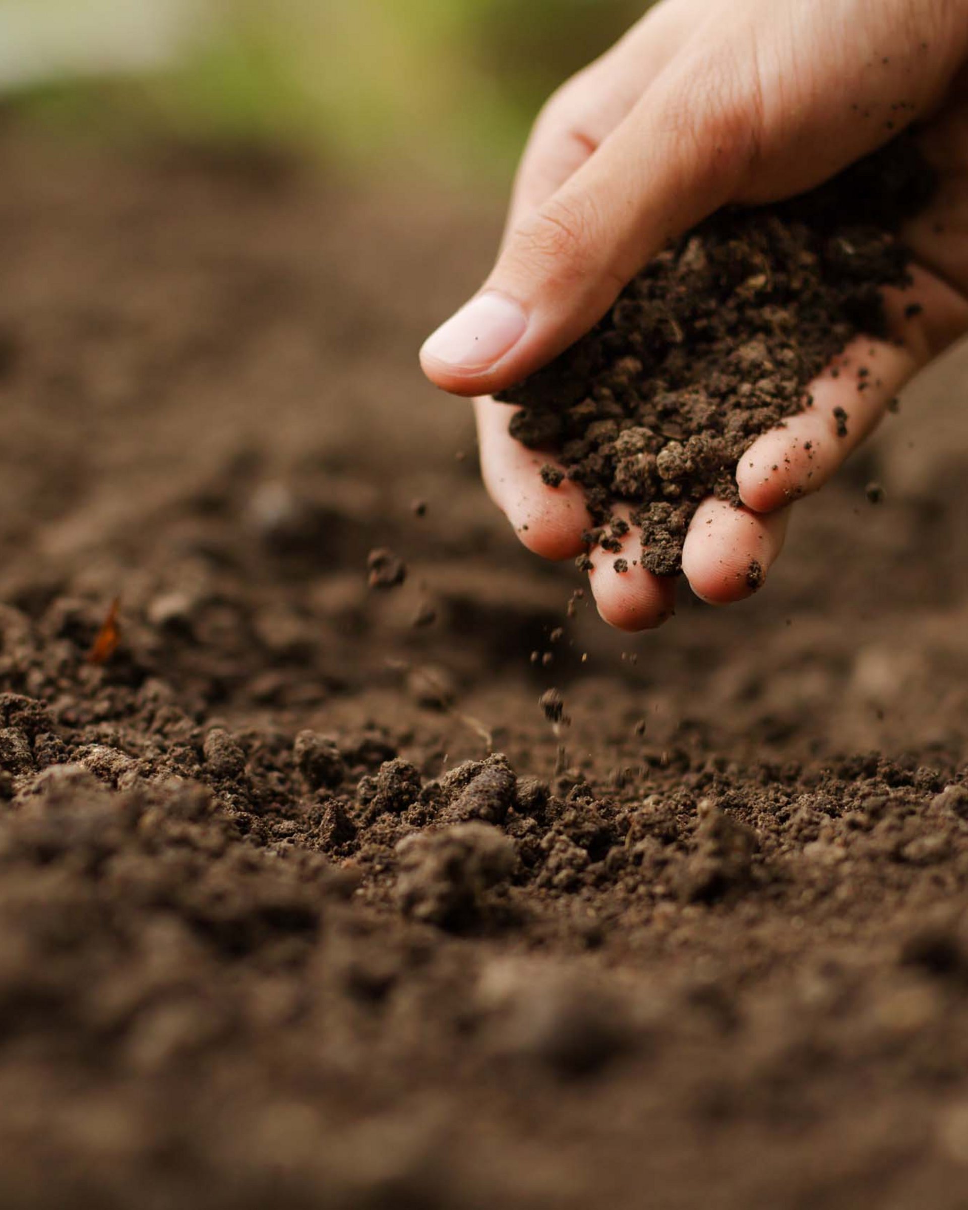 Impianti di irrigazione - trova il top da noi Impianti di irrigazione - trova il top da noi