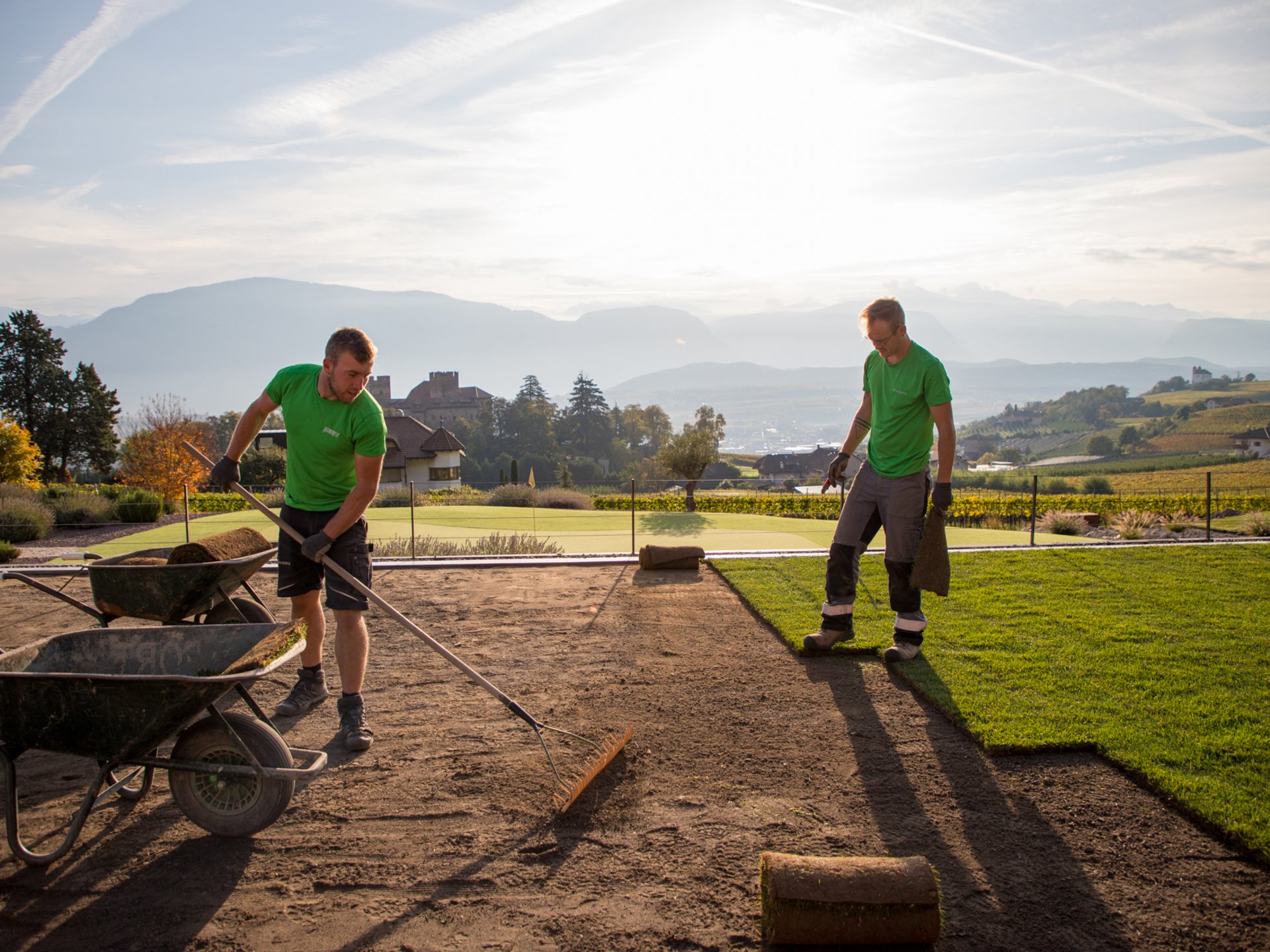 Posa prato a rotoli e mauntenzione Posa prato a rotoli e mauntenzione