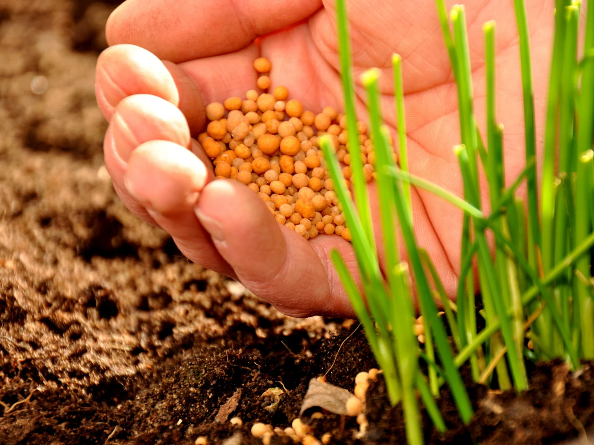 Prodotti da giardinaggio per tutti i gusti Prodotti da giardinaggio per tutti i gusti