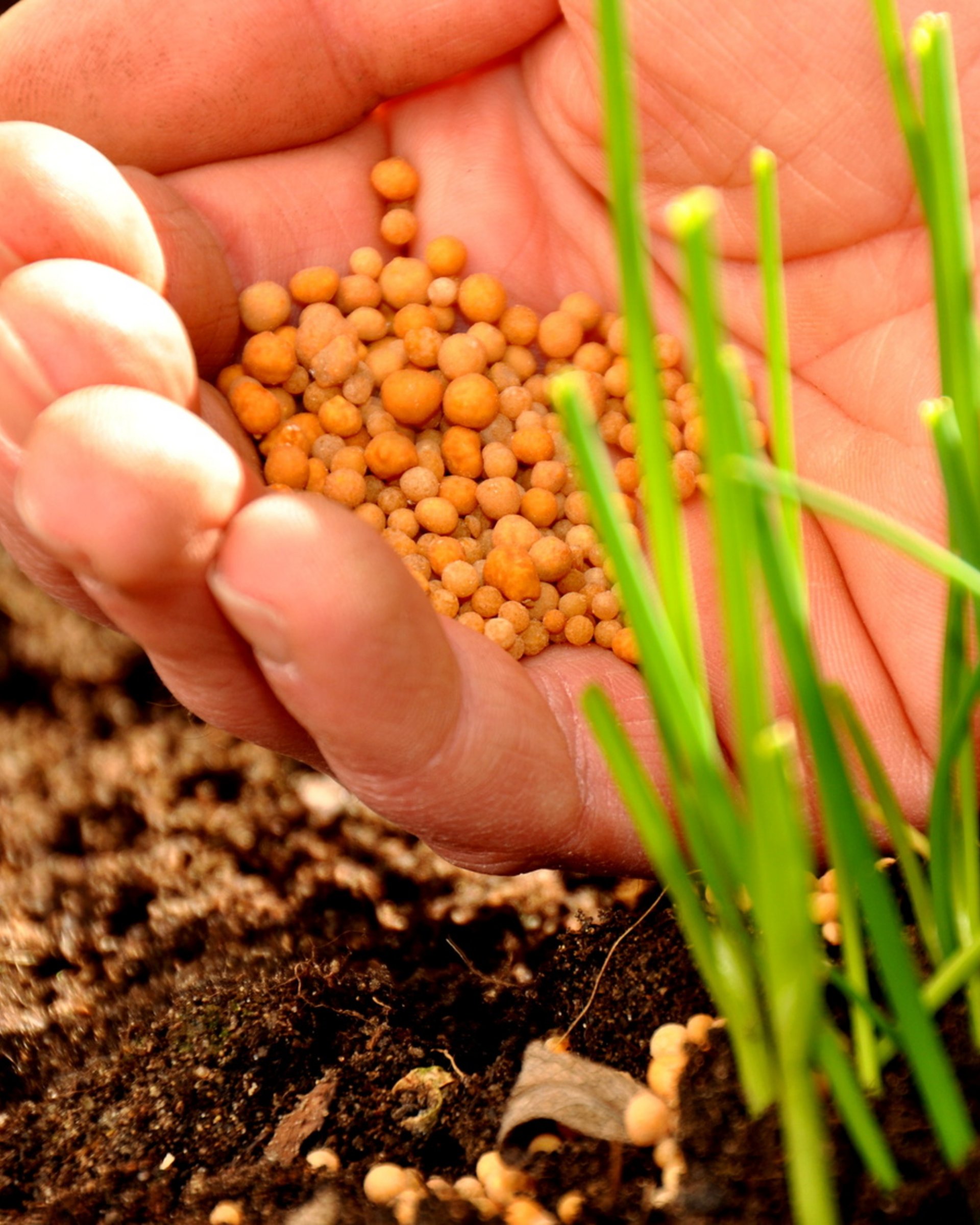Robot tagliaerba top di gamma Robot tagliaerba top di gamma